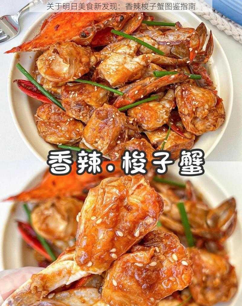 关于明日美食新发现：香辣梭子蟹图鉴指南