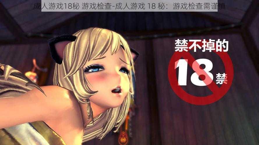 成人游戏18秘 游戏检查-成人游戏 18 秘：游戏检查需谨慎