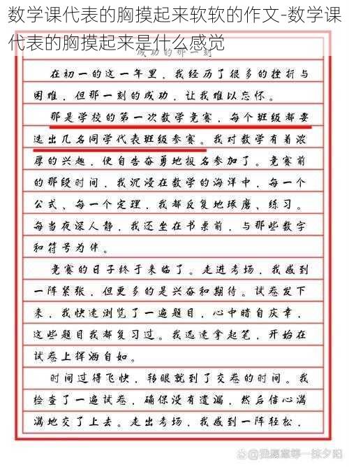 数学课代表的胸摸起来软软的作文-数学课代表的胸摸起来是什么感觉