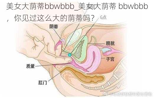 美女大荫蒂bbwbbb_美女大荫蒂 bbwbbb，你见过这么大的荫蒂吗？