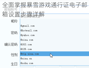 全面掌握暴雪游戏通行证电子邮箱设置步骤详解