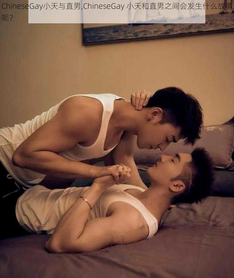 ChineseGay小天与直男,ChineseGay 小天和直男之间会发生什么故事呢？