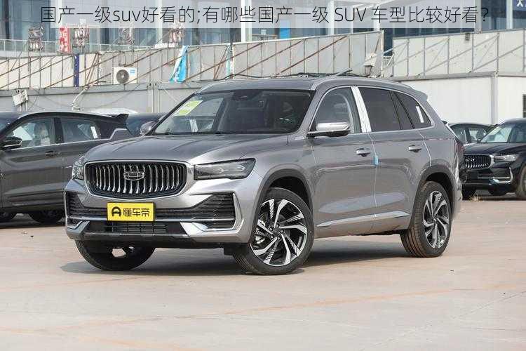 国产一级suv好看的;有哪些国产一级 SUV 车型比较好看？