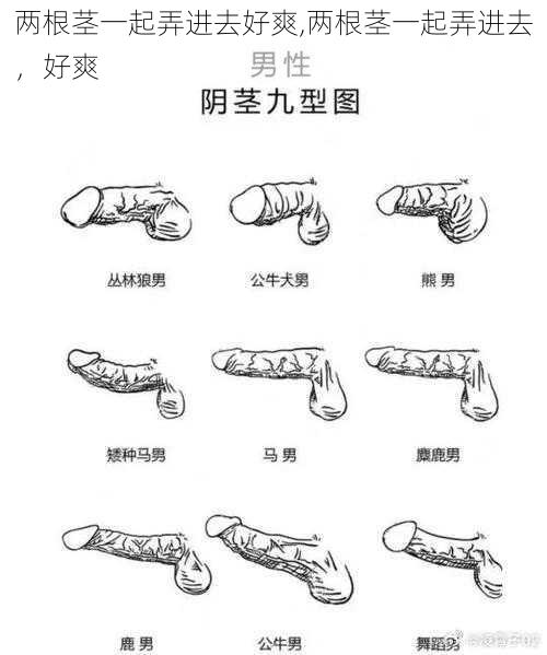 两根茎一起弄进去好爽,两根茎一起弄进去，好爽