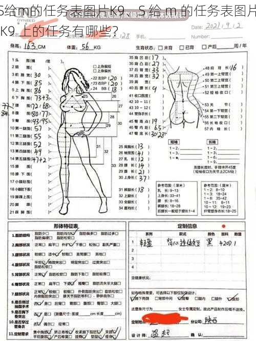 S给m的任务表图片K9、S 给 m 的任务表图片 K9 上的任务有哪些？