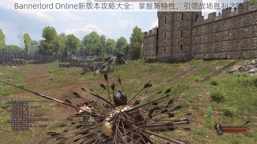 Bannerlord Online新版本攻略大全：掌握新特性，引领战场胜利之路