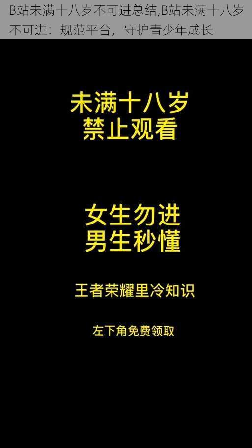 B站未满十八岁不可进总结,B站未满十八岁不可进：规范平台，守护青少年成长