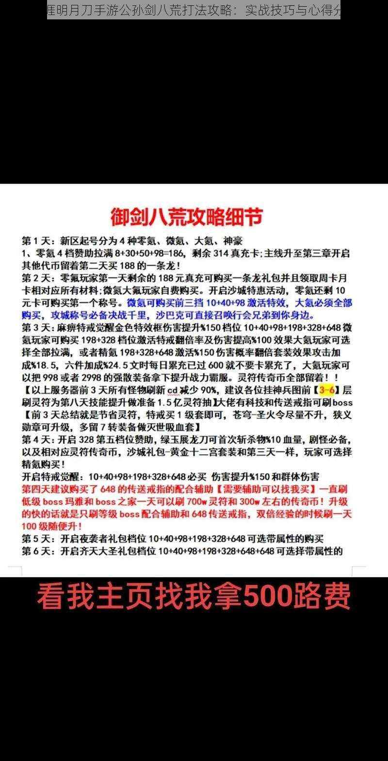 天涯明月刀手游公孙剑八荒打法攻略：实战技巧与心得分享