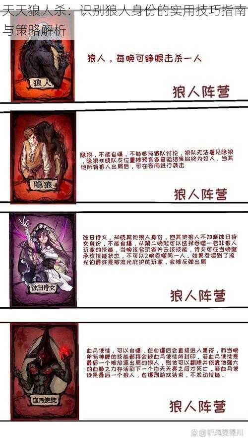 天天狼人杀：识别狼人身份的实用技巧指南与策略解析