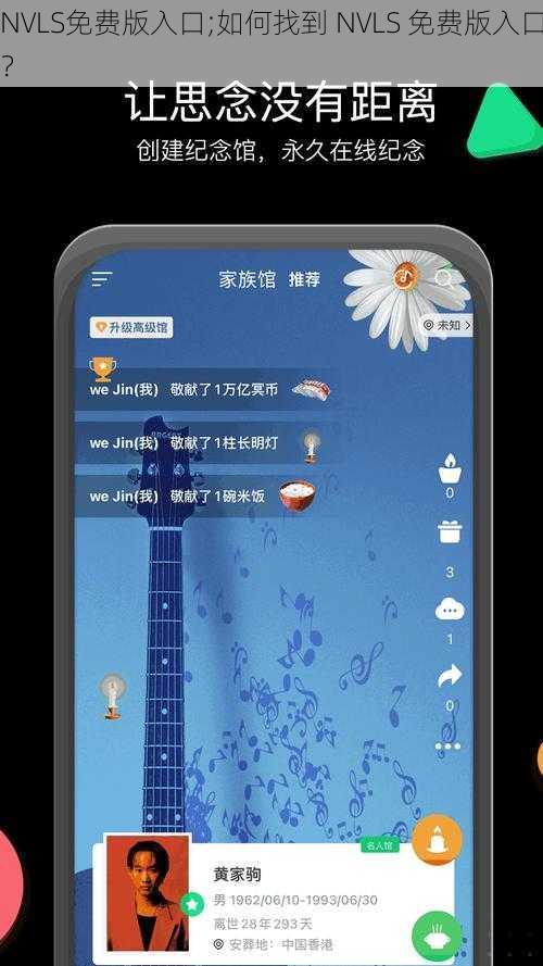 NVLS免费版入口;如何找到 NVLS 免费版入口？