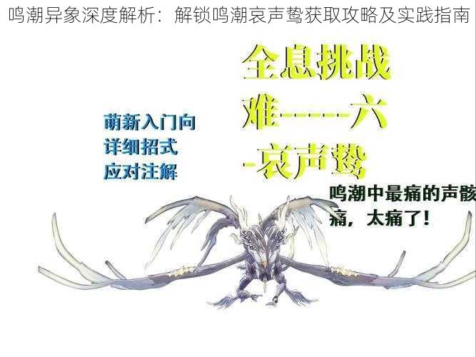 鸣潮异象深度解析：解锁鸣潮哀声鸷获取攻略及实践指南