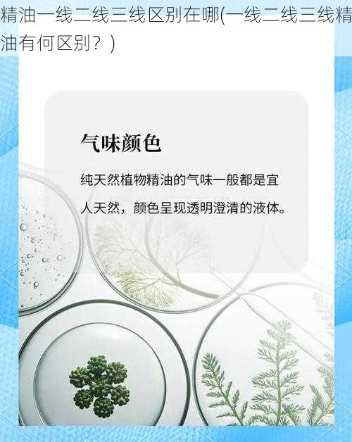 精油一线二线三线区别在哪(一线二线三线精油有何区别？)