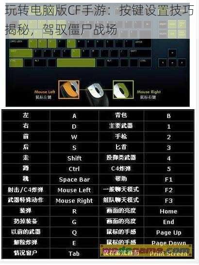 玩转电脑版CF手游：按键设置技巧揭秘，驾驭僵尸战场