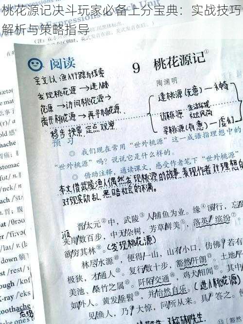 桃花源记决斗玩家必备上分宝典：实战技巧解析与策略指导