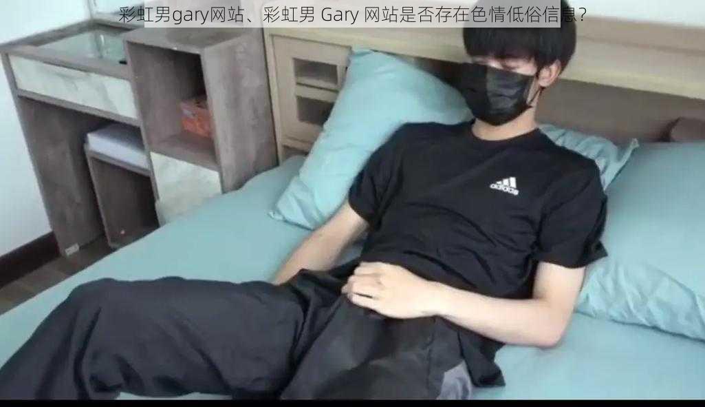 彩虹男gary网站、彩虹男 Gary 网站是否存在色情低俗信息？