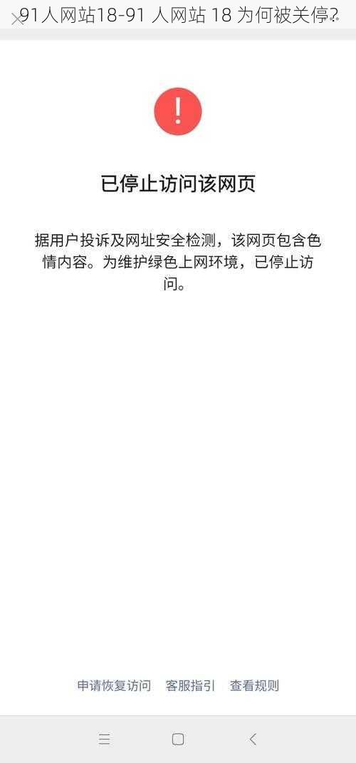 91人网站18-91 人网站 18 为何被关停？