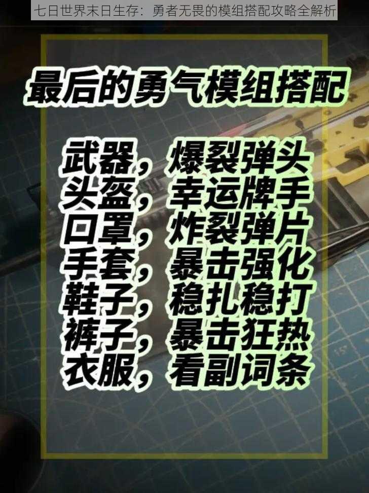 七日世界末日生存：勇者无畏的模组搭配攻略全解析