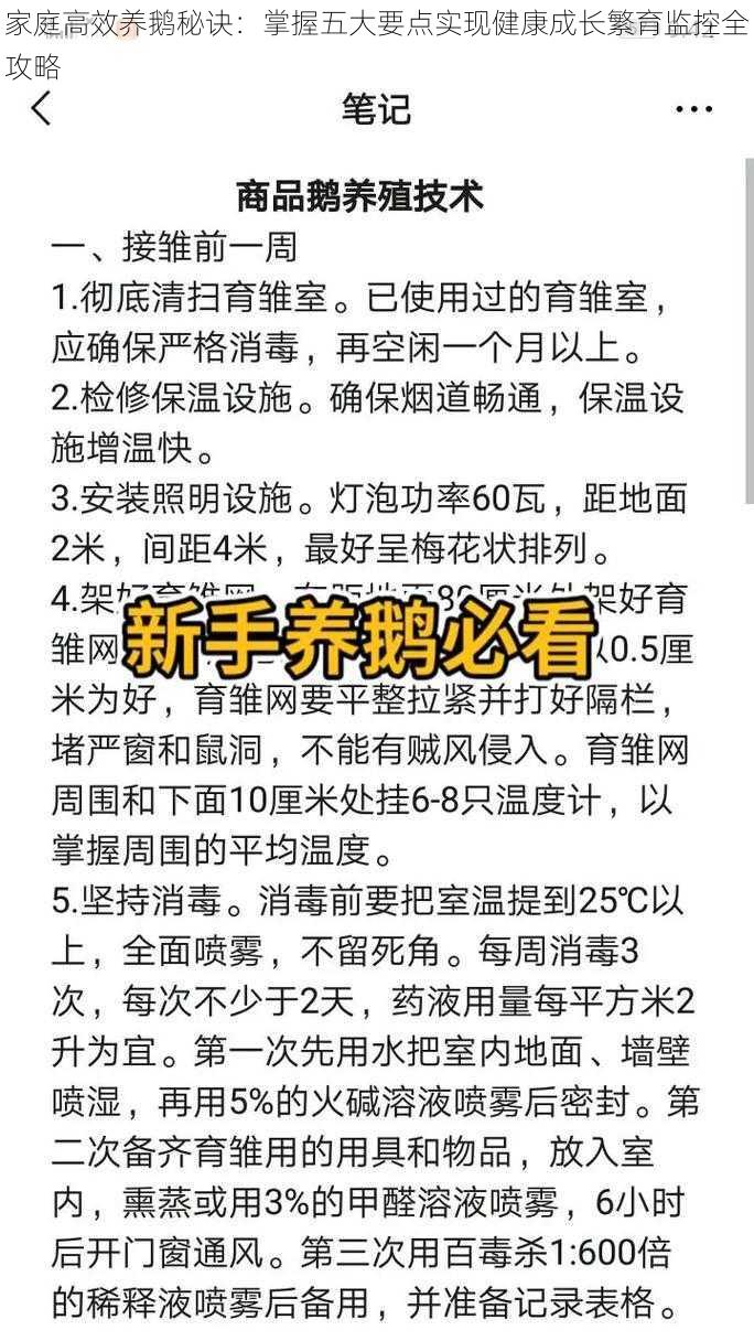 家庭高效养鹅秘诀：掌握五大要点实现健康成长繁育监控全攻略