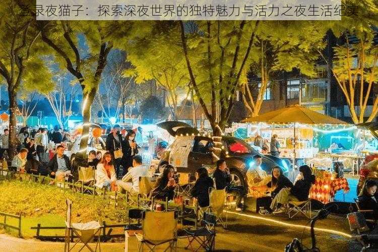 登录夜猫子：探索深夜世界的独特魅力与活力之夜生活纪实