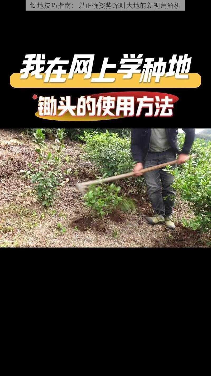 锄地技巧指南：以正确姿势深耕大地的新视角解析