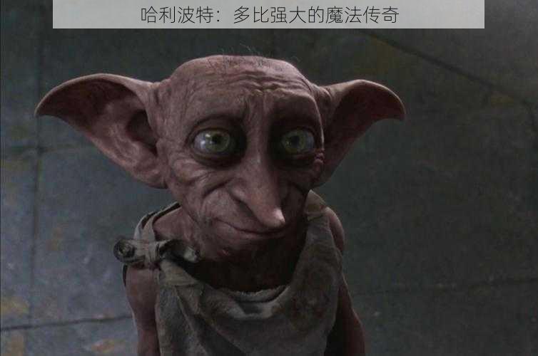 哈利波特：多比强大的魔法传奇