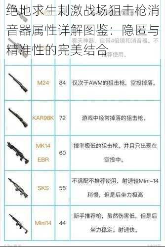 绝地求生刺激战场狙击枪消音器属性详解图鉴：隐匿与精准性的完美结合