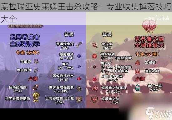 泰拉瑞亚史莱姆王击杀攻略：专业收集掉落技巧大全