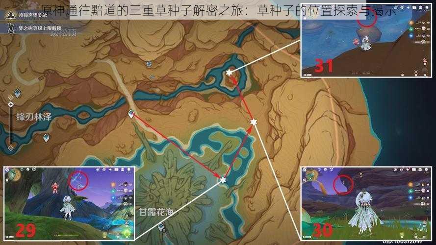 原神通往黯道的三重草种子解密之旅：草种子的位置探索与揭示